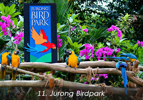 11. Jurong Birdpark