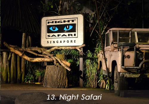 13. Night Safari