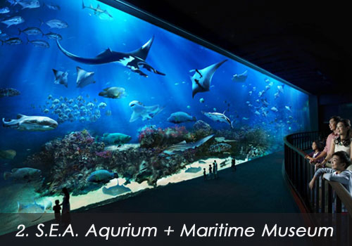 2. S.E.A. Aqurium + Maritime Museum