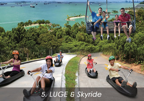 5. LUGE & Skyride