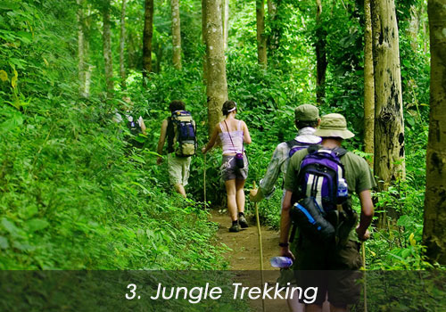 3.-jungle-trekking-bali