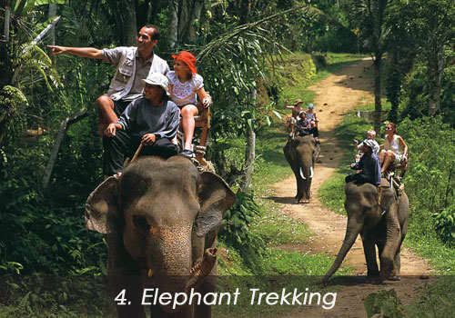 4.-elephant-treking-bali