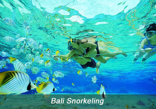 Bali-Snorkeling-02